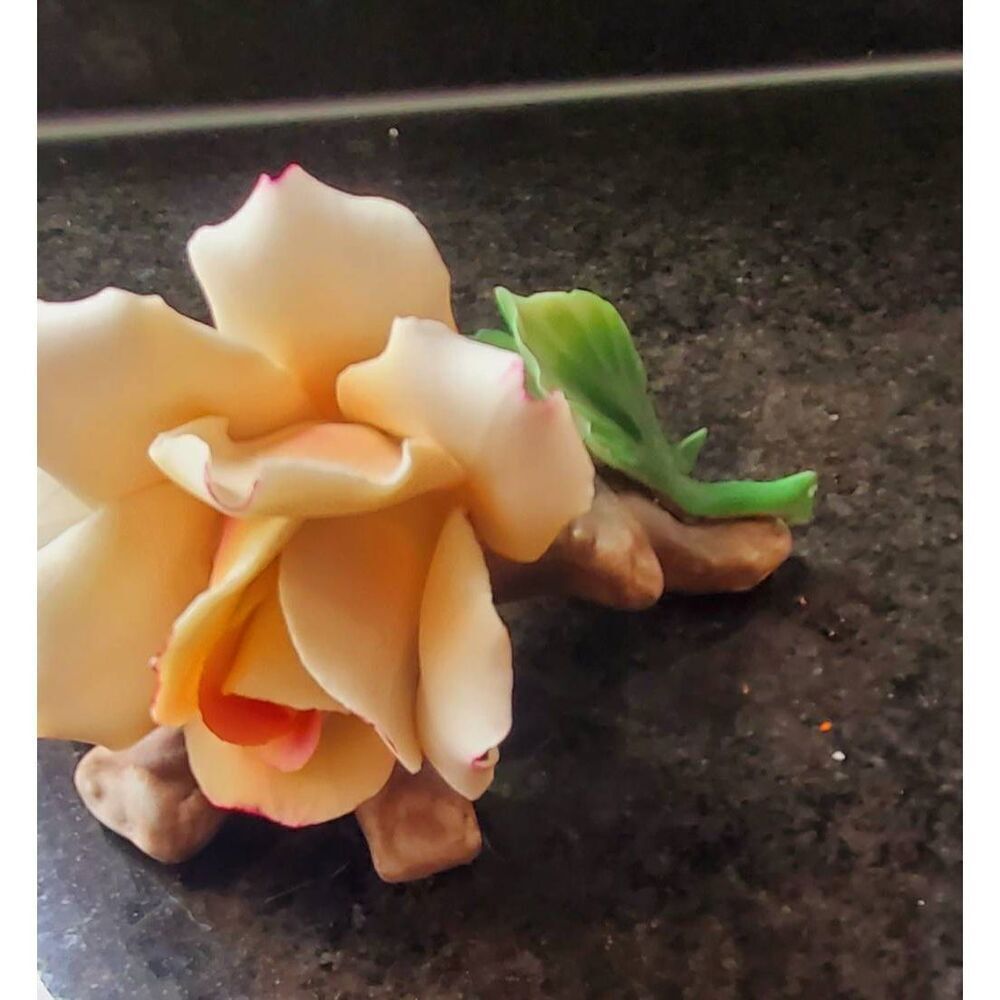 Carpodimonte rose bud